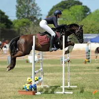 jdm_equestrian