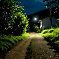 antwilm