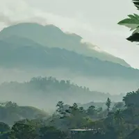 dchfhv1