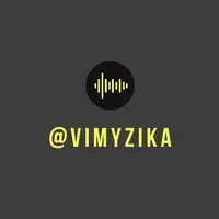 TikTok Profile - vimyzika