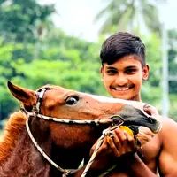 mehedehasansokal