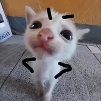 junxxailiem