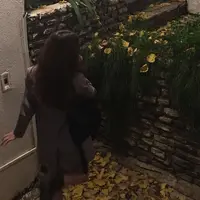 alizadehhx