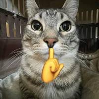 TikTok Account - hlznova.lyrics