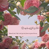 its__teee