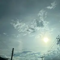 focusnareejun