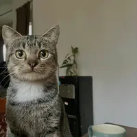 wwnshrmn