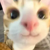 miwsuuu