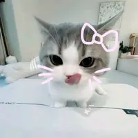 TikTok Account - spoti_fy556
