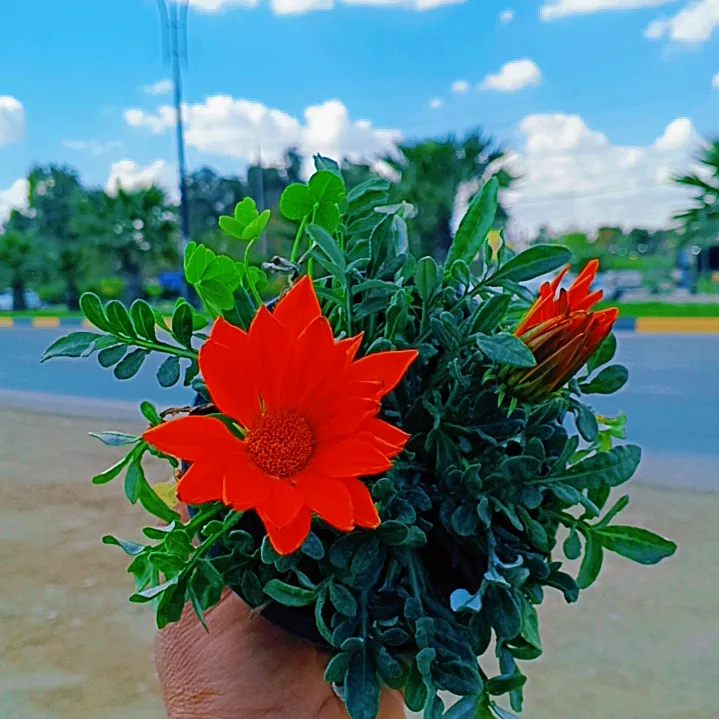 user1a3qdglzlx