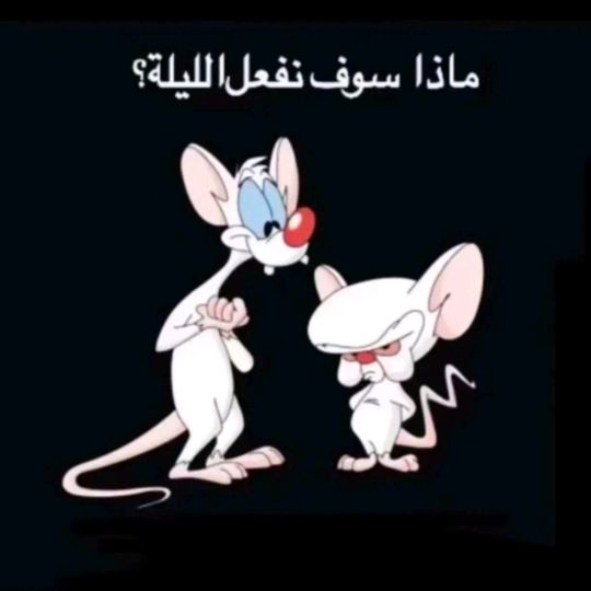 abuahmad3330