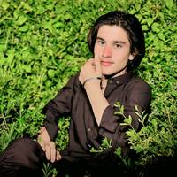 TikTok Account - haseebkhan11122