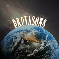 TikTok Profile - bruvasons