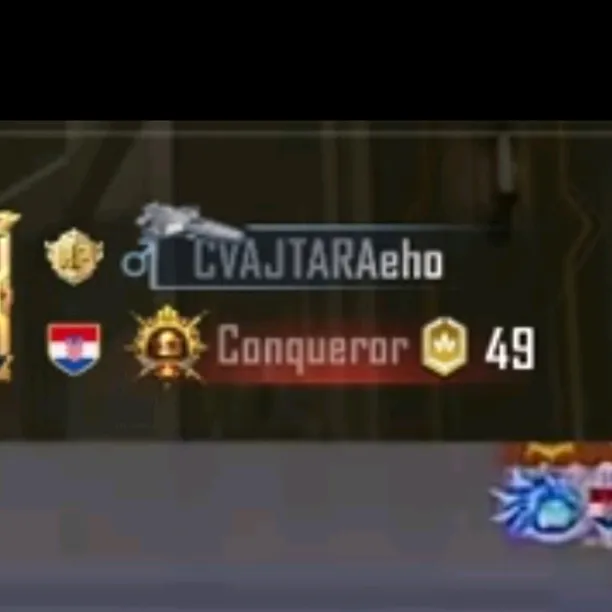 cvajtara.pubgm