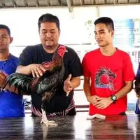 _jbeirfarm2