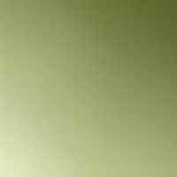 TikTok Account - https://p77-sg.tiktokcdn.com/tos-alisg-avt-0068/ac60ae460cd16d365a9d2fdfe6c965bc~tplv-tiktokx-cropcenter-q:200:200:q70.webp