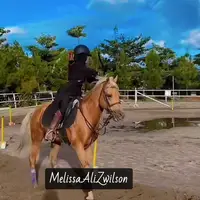 melissa.ali.zwilson