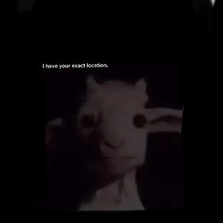 liljewzivertow