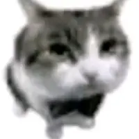 _gato_sovietico_xd