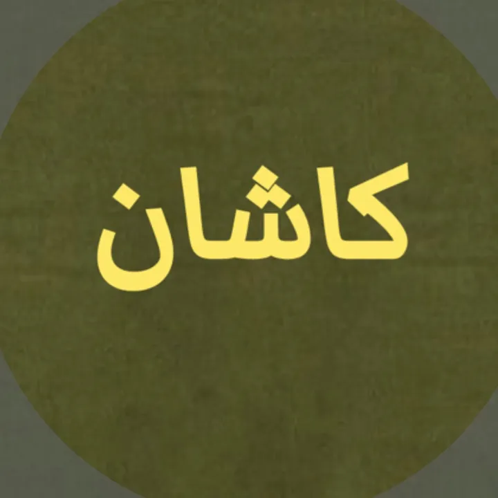 kashin_02