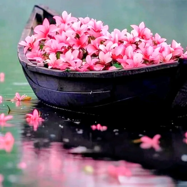 meryflower001