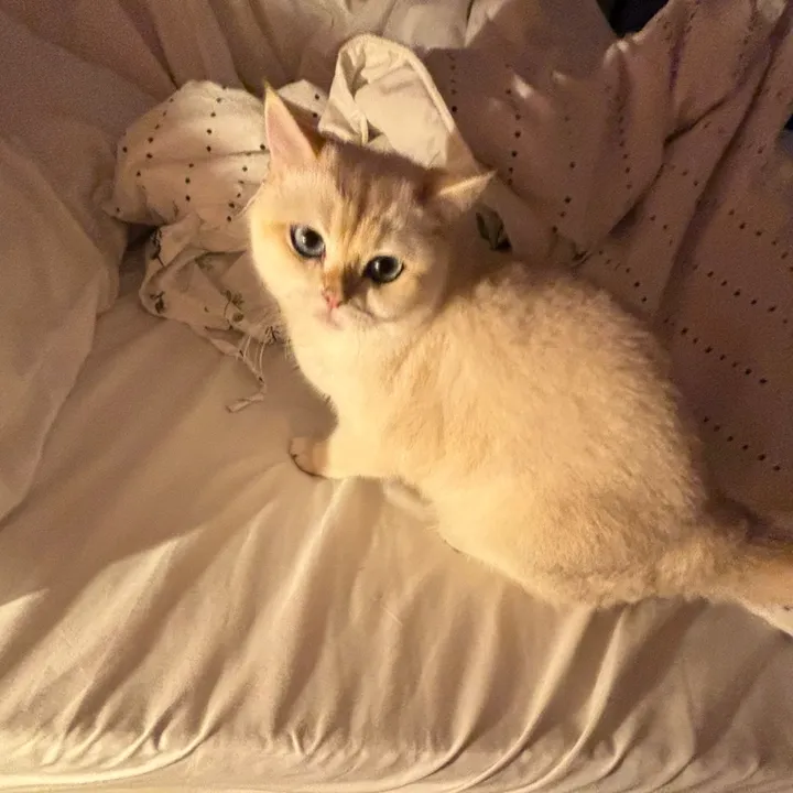 mochiiiiochiiii