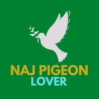 naj.pigeon