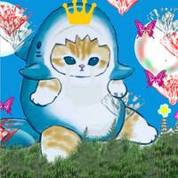 TikTok Account - cat26924