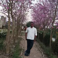 mylifelinem00