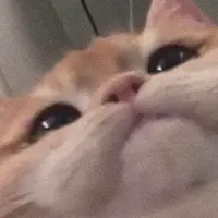 hiiklii