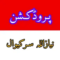 niazullahtaypast3