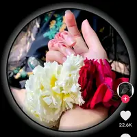 pari40072