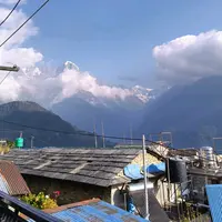 trynafindbijaya