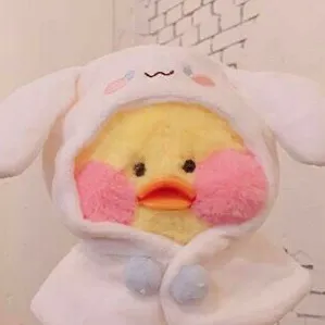 duck__mikkaa