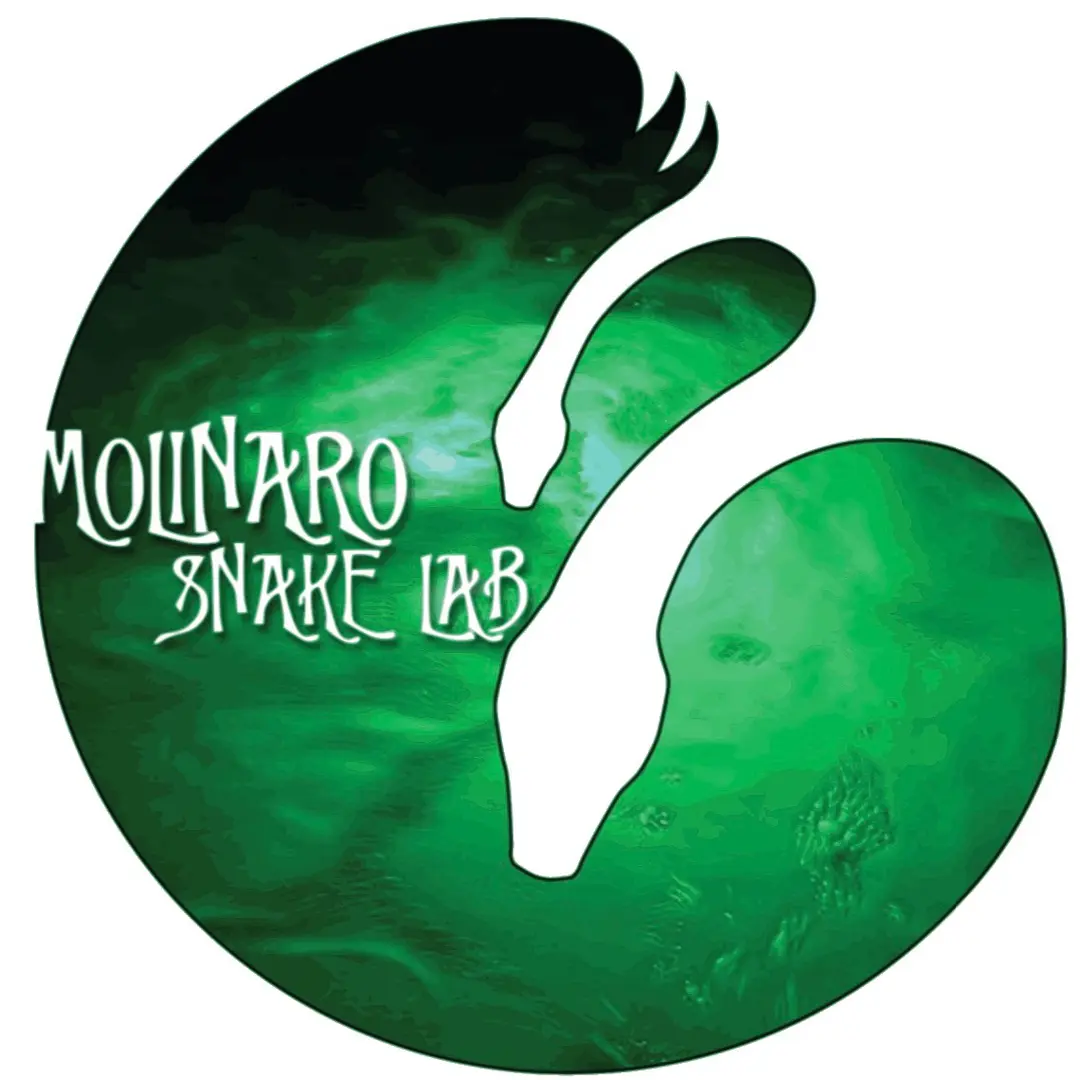 molinaro_snake_lab